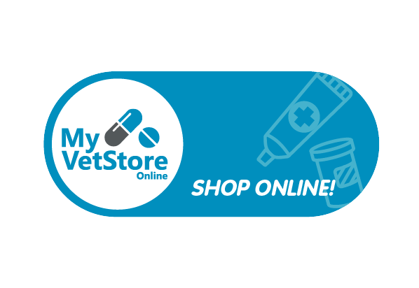 online store image