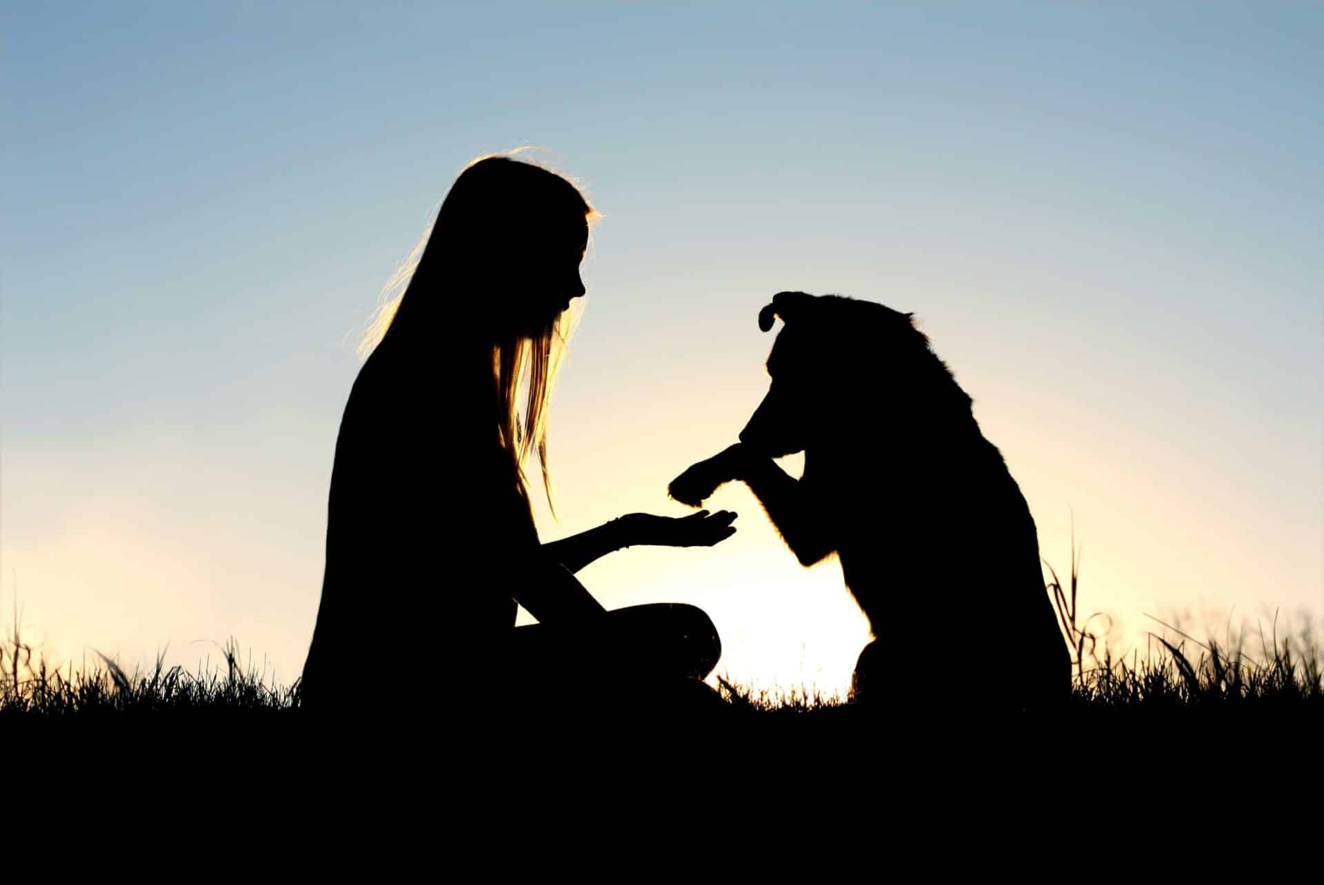 Because Every Life Deserves a Peaceful Farewell | Schedule a Consultation Today!