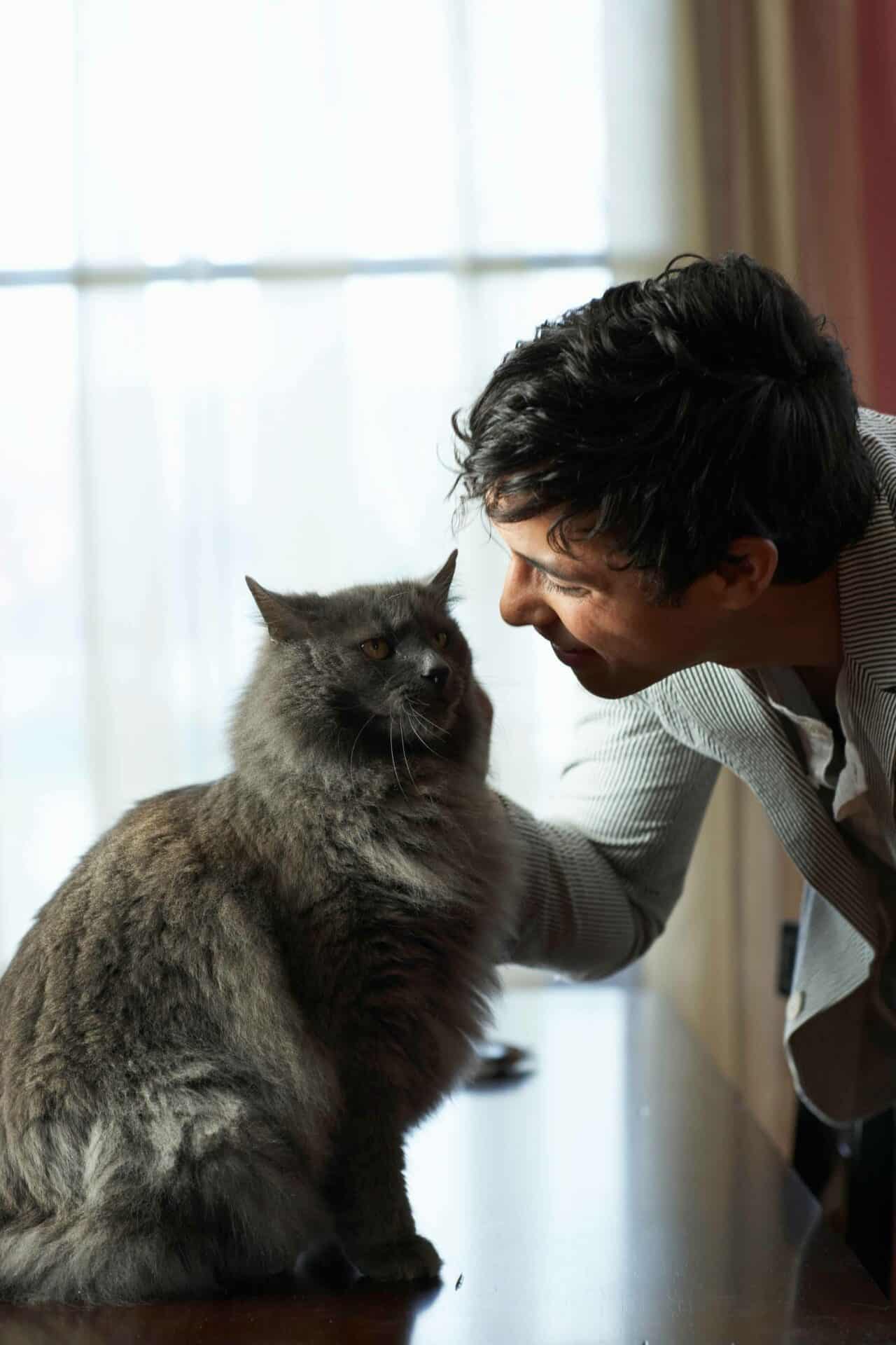 Compassionate and Comprehensive Care for Your Older Pet | Call Us Today!