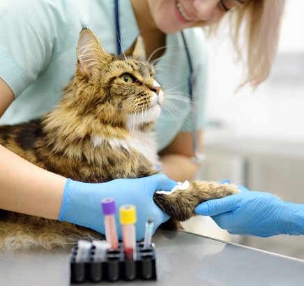 Diagnostics