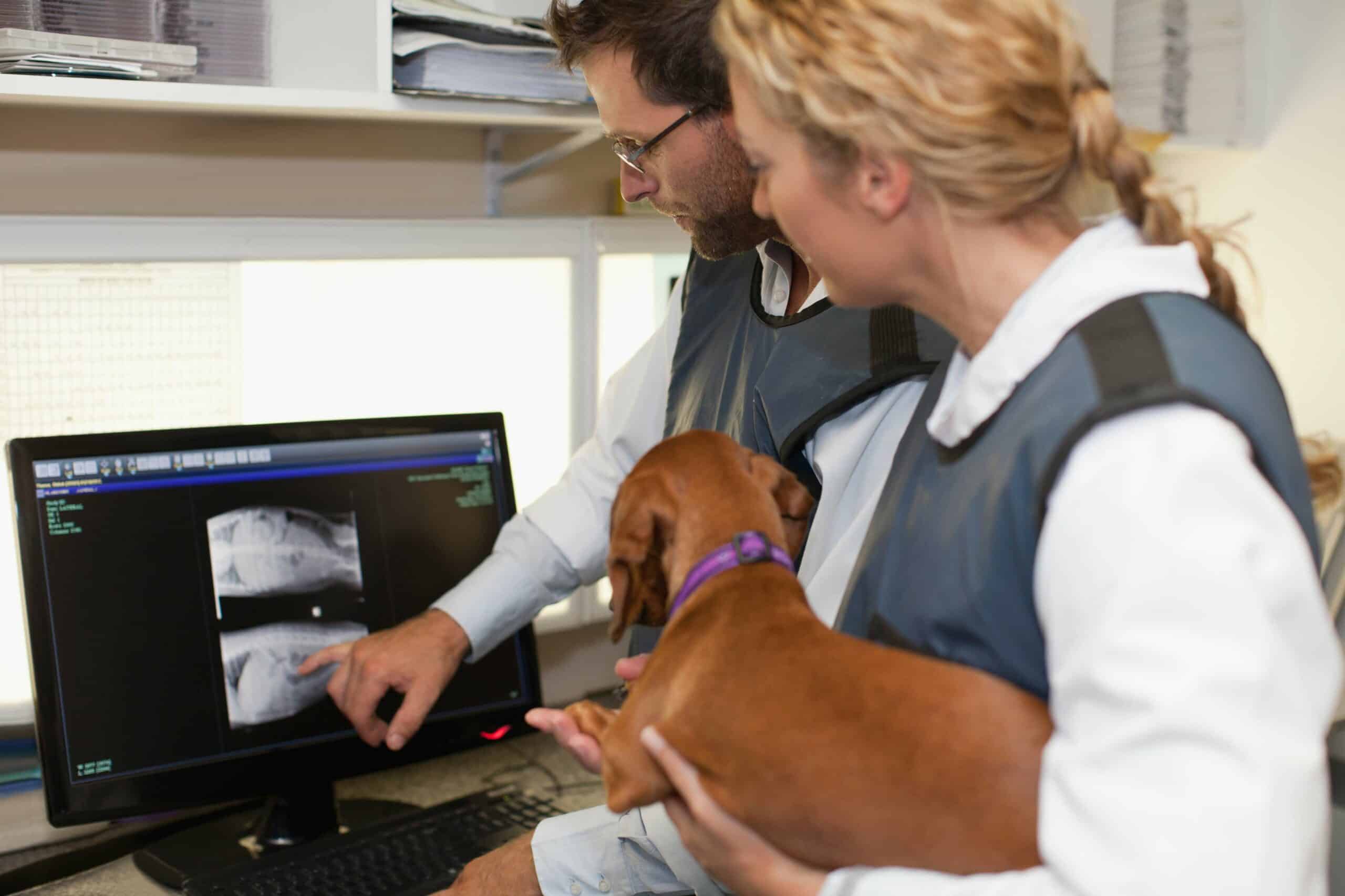 Digital Radiology and Imaging