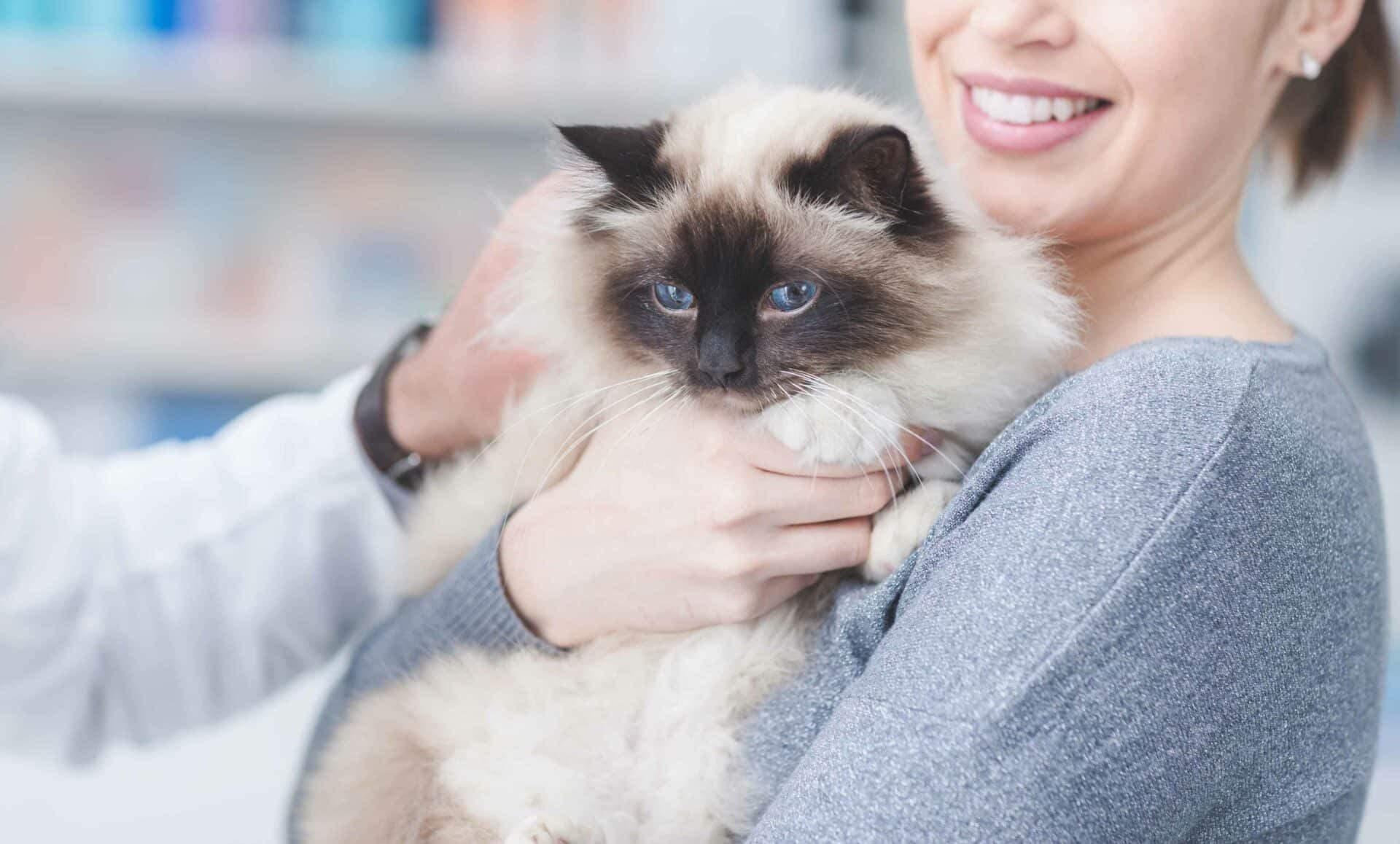 Know More, Worry Less | Comprehensive Pet Diagnostics for Your Furry Friend