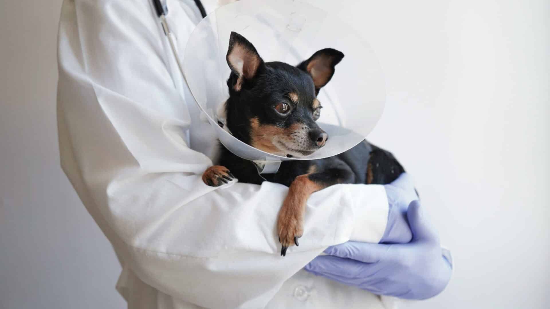 Surgery