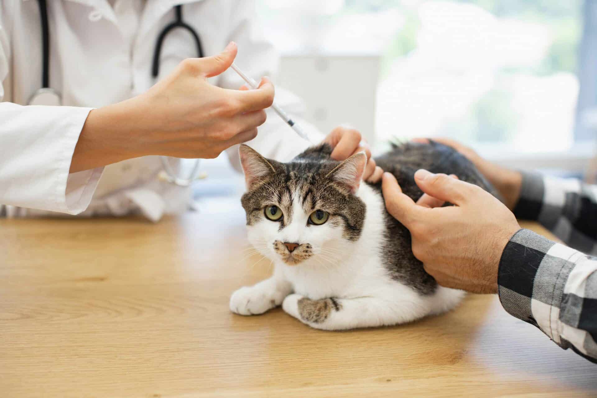 Vaccinations